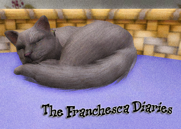 Franchesca Diaries