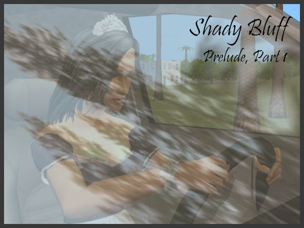 Shady Bluff, Prelude, Part 1